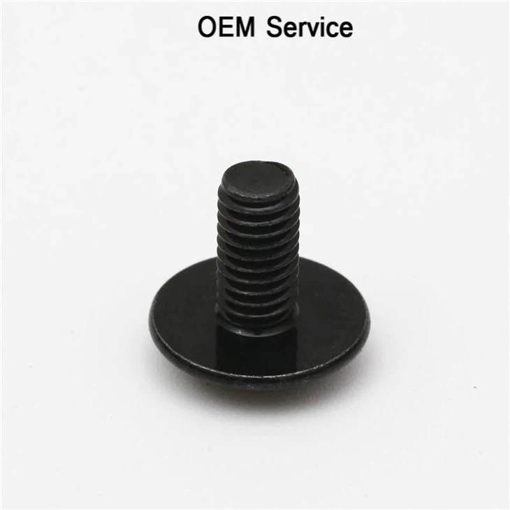 Black Pan Washer Head Screw