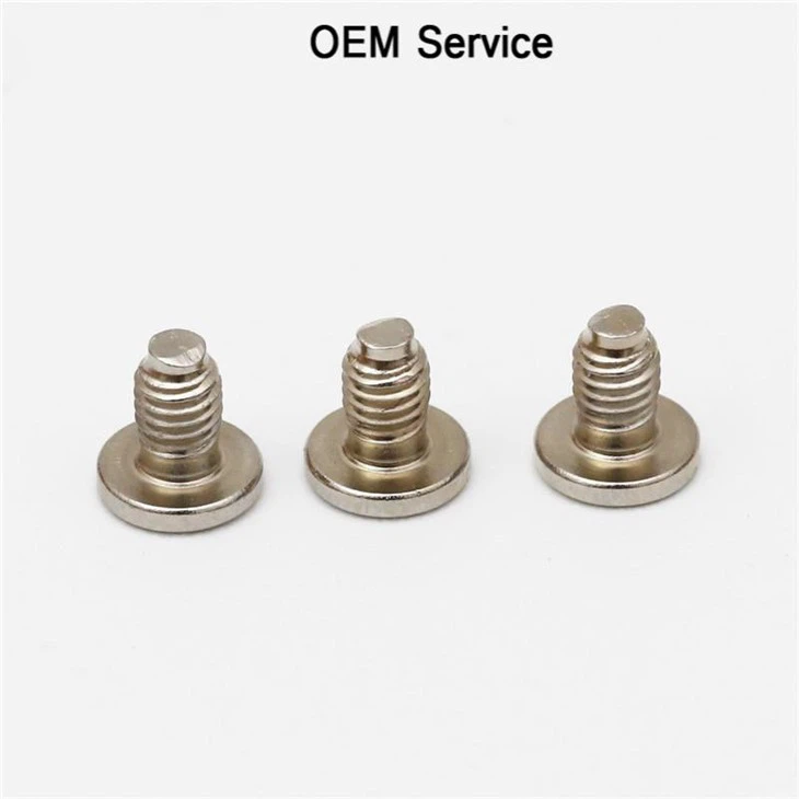 Flat Head Stainless Steel Micro Tiny Screw