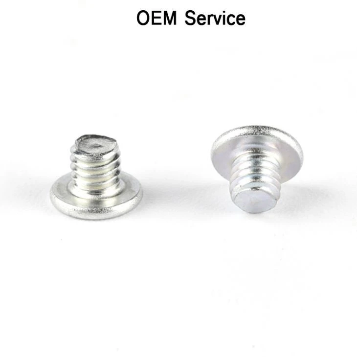 Non-standard Miniature Size Screw