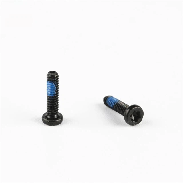 Stainless Steel Black Torx Screw
