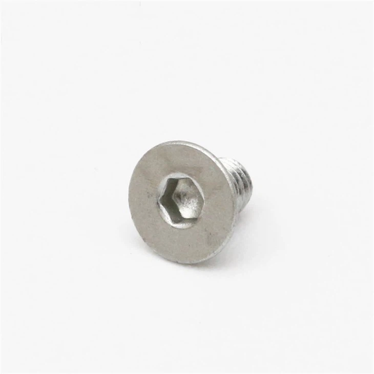 Stainless Steel Countersunk Head Hex Screw